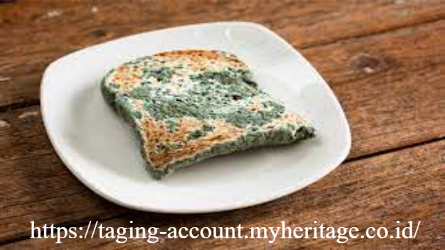 Mengenali Makanan Basi: Perubahan Tekstur